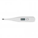 Thermometer with LCD Display